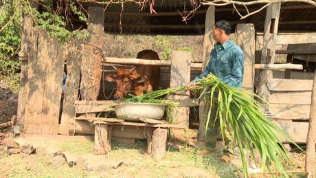 Krông Nô nhịp sống hôm nay 13/12/2024