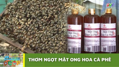Thơm ngọt mật ong hoa cà phê