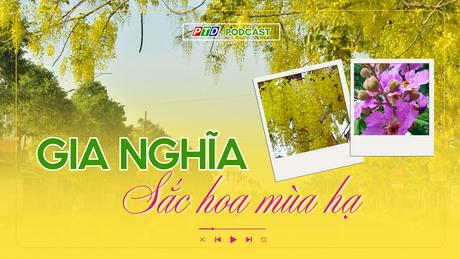Gia Nghĩa - Sắc hoa mùa hạ