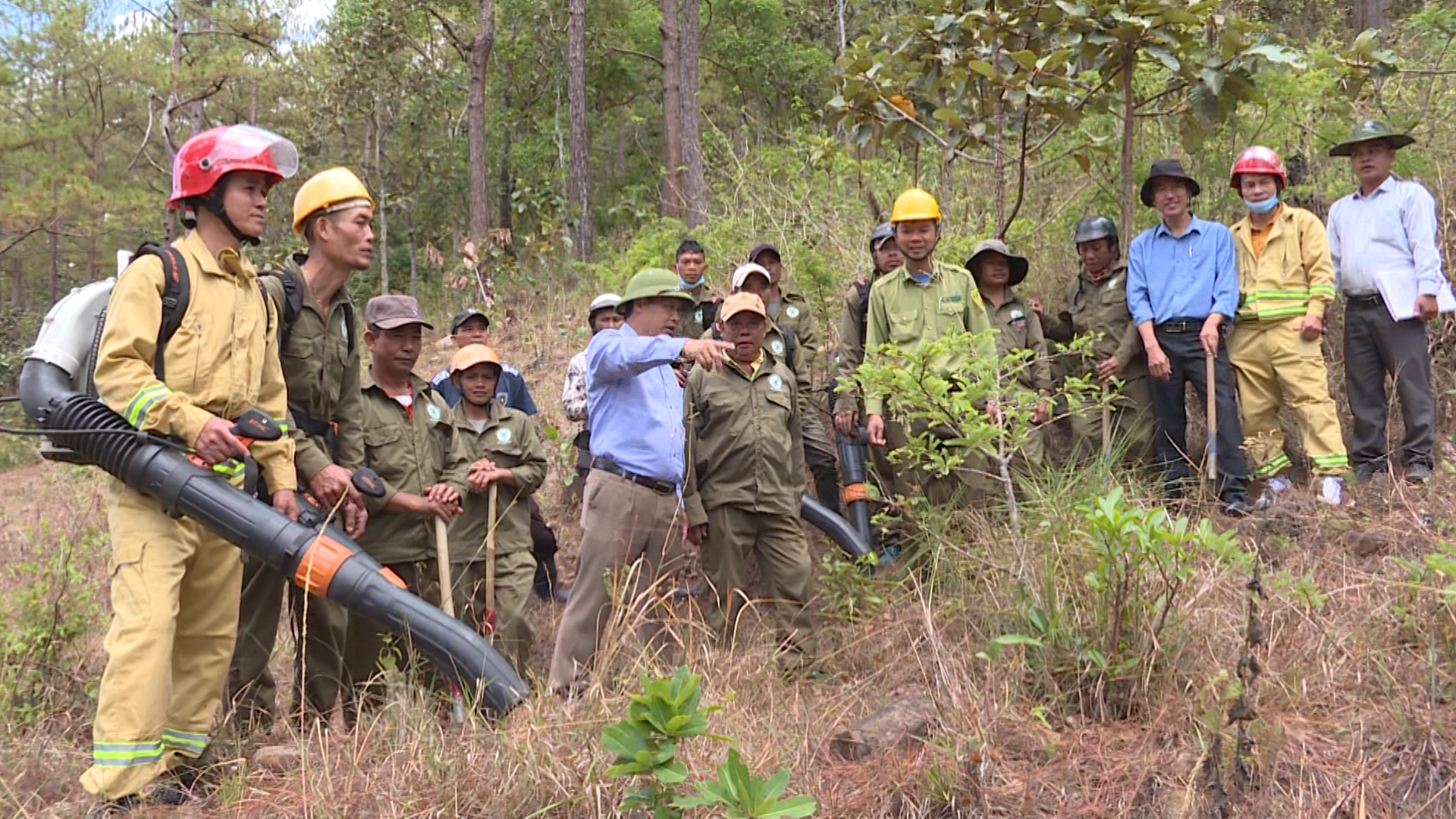 Để rừng Đức Trọng bình yên