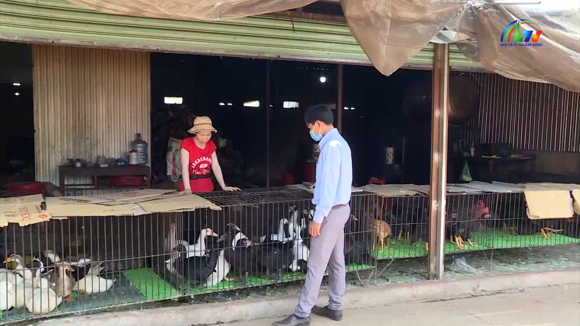 Bản tin tiếng Mnông ngày 28/1/2026