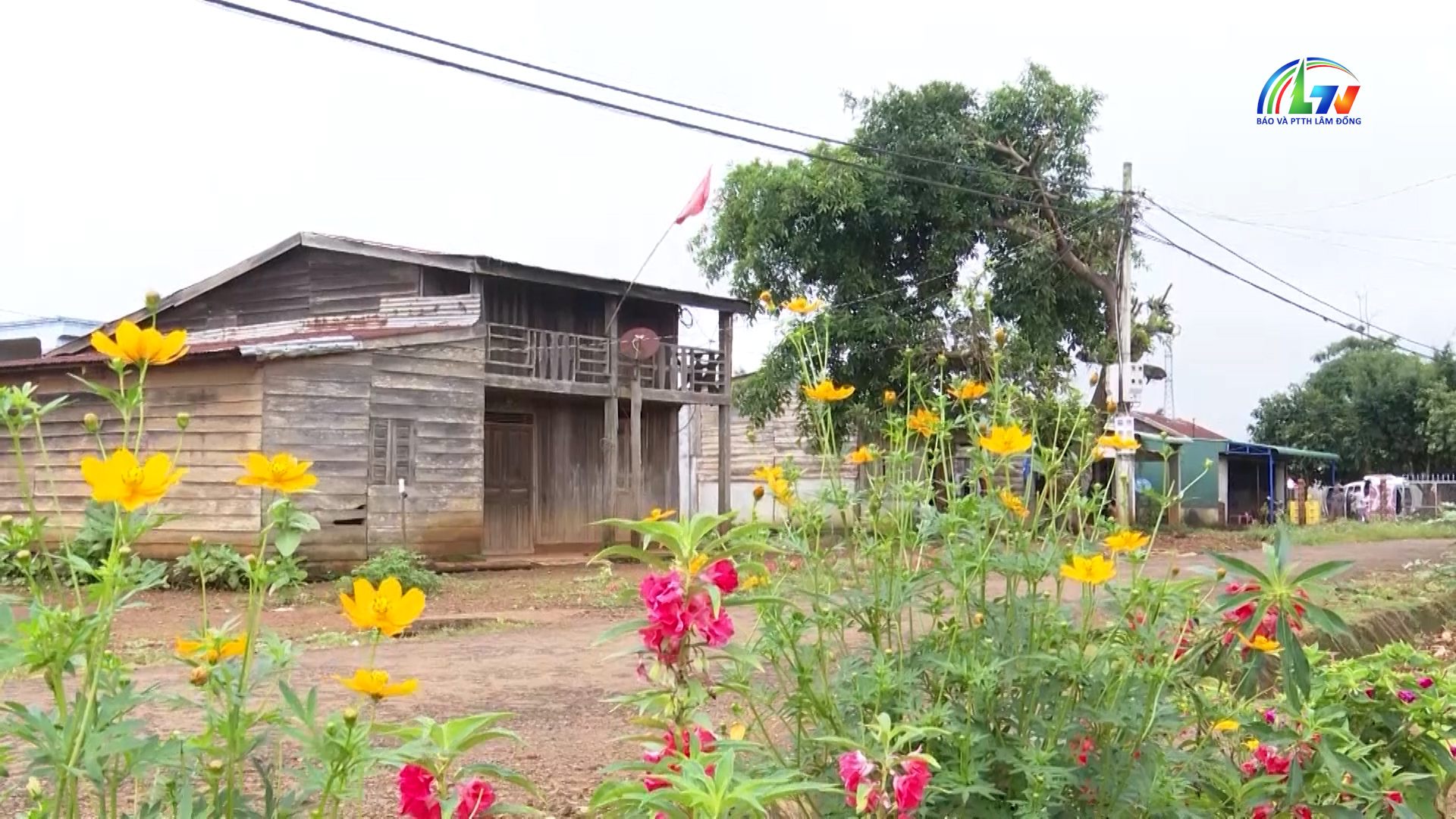 Sắc màu văn hóa ngày 30/52026