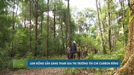 Bảo vệ rừng ngày 23/9/2026