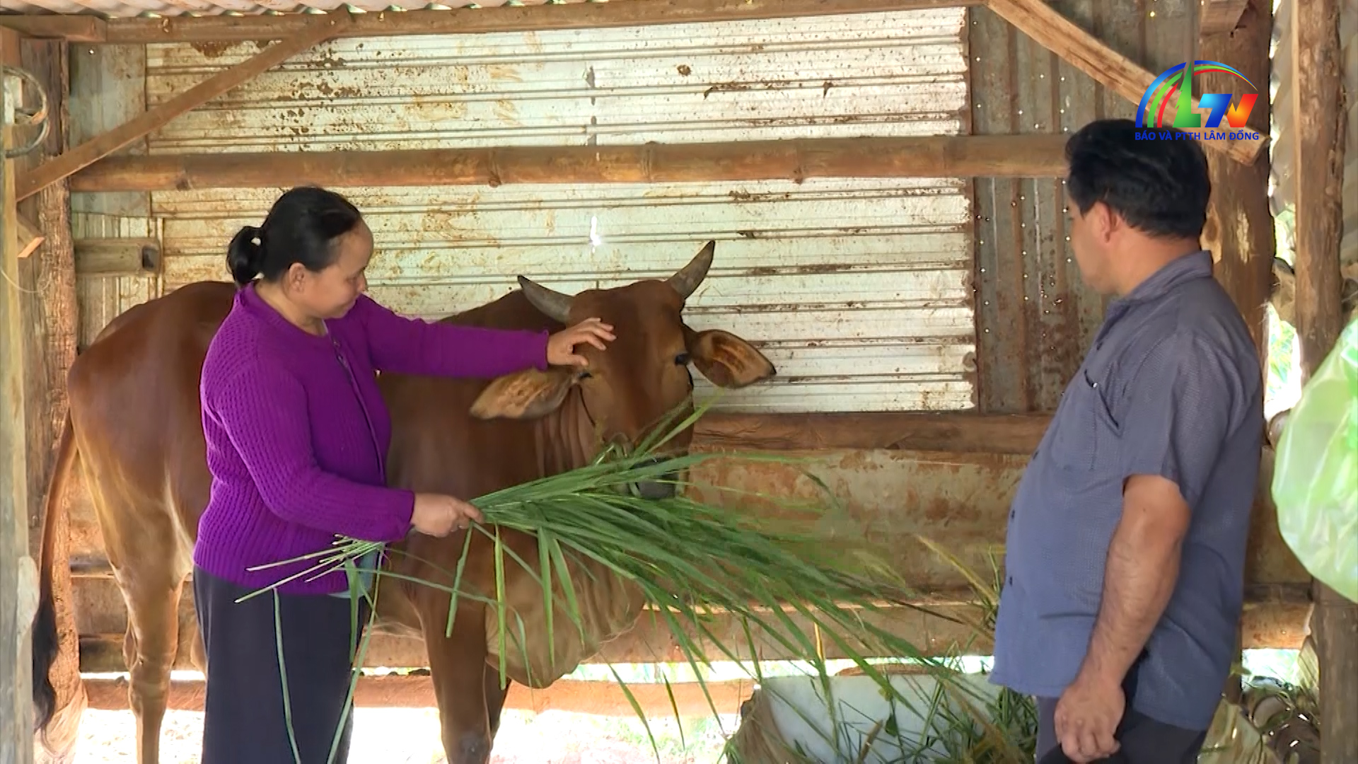 Dân tộc và phát triển tiếng Mnông ngày 1/3/2026