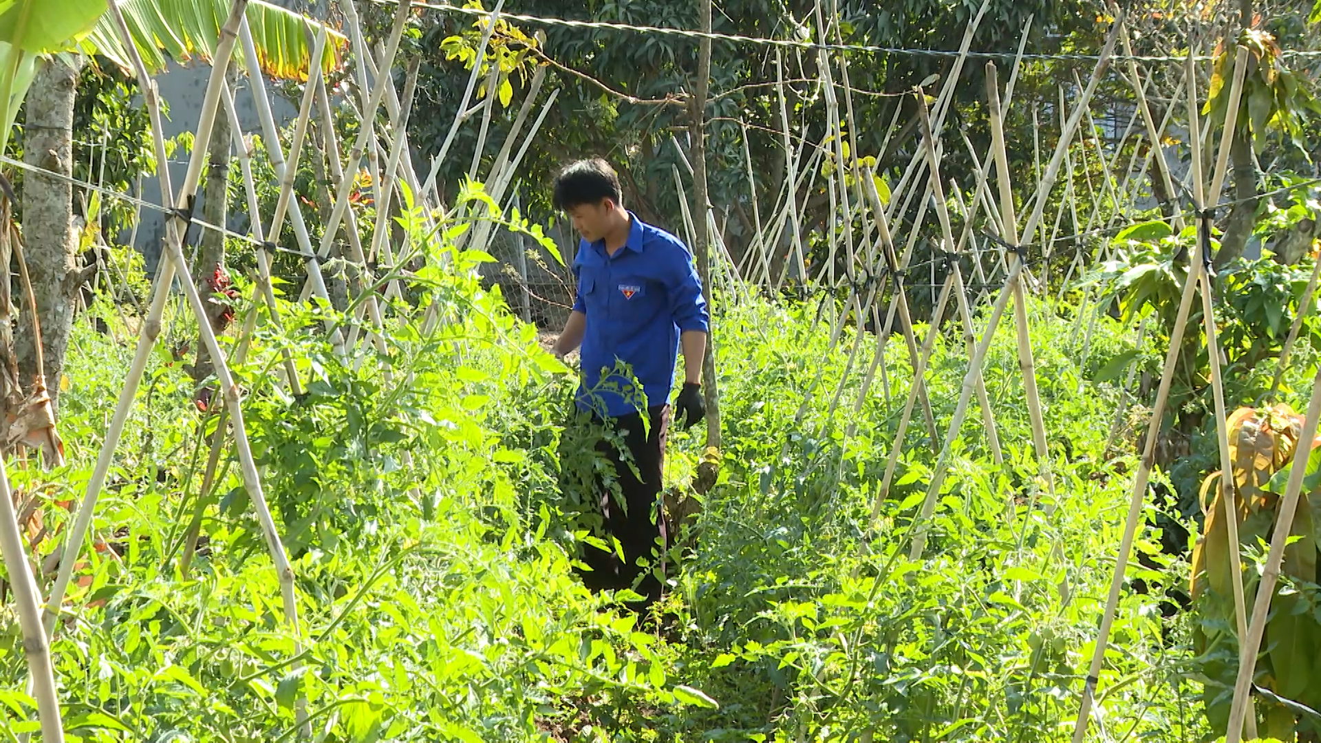 Thanh niên ngày 28/2/2026