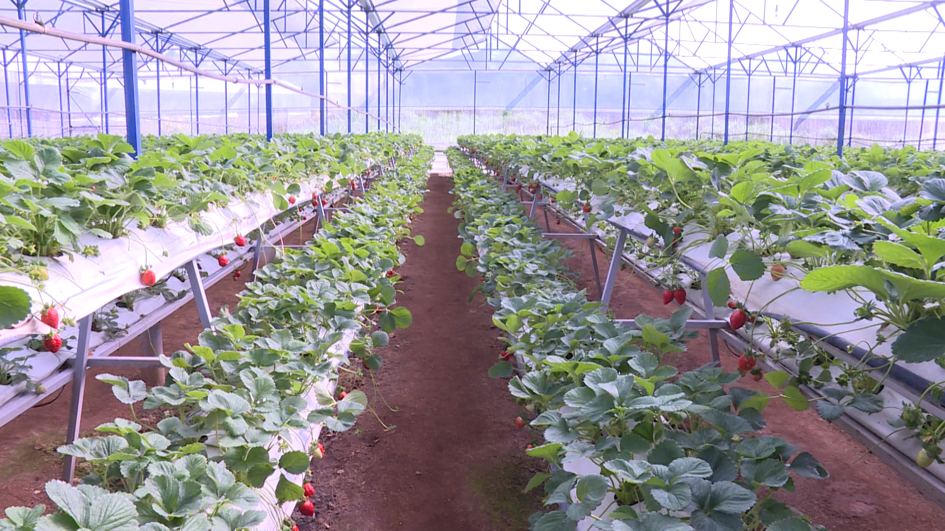 Giảm nghèo bền vững ngày 2/3/2026