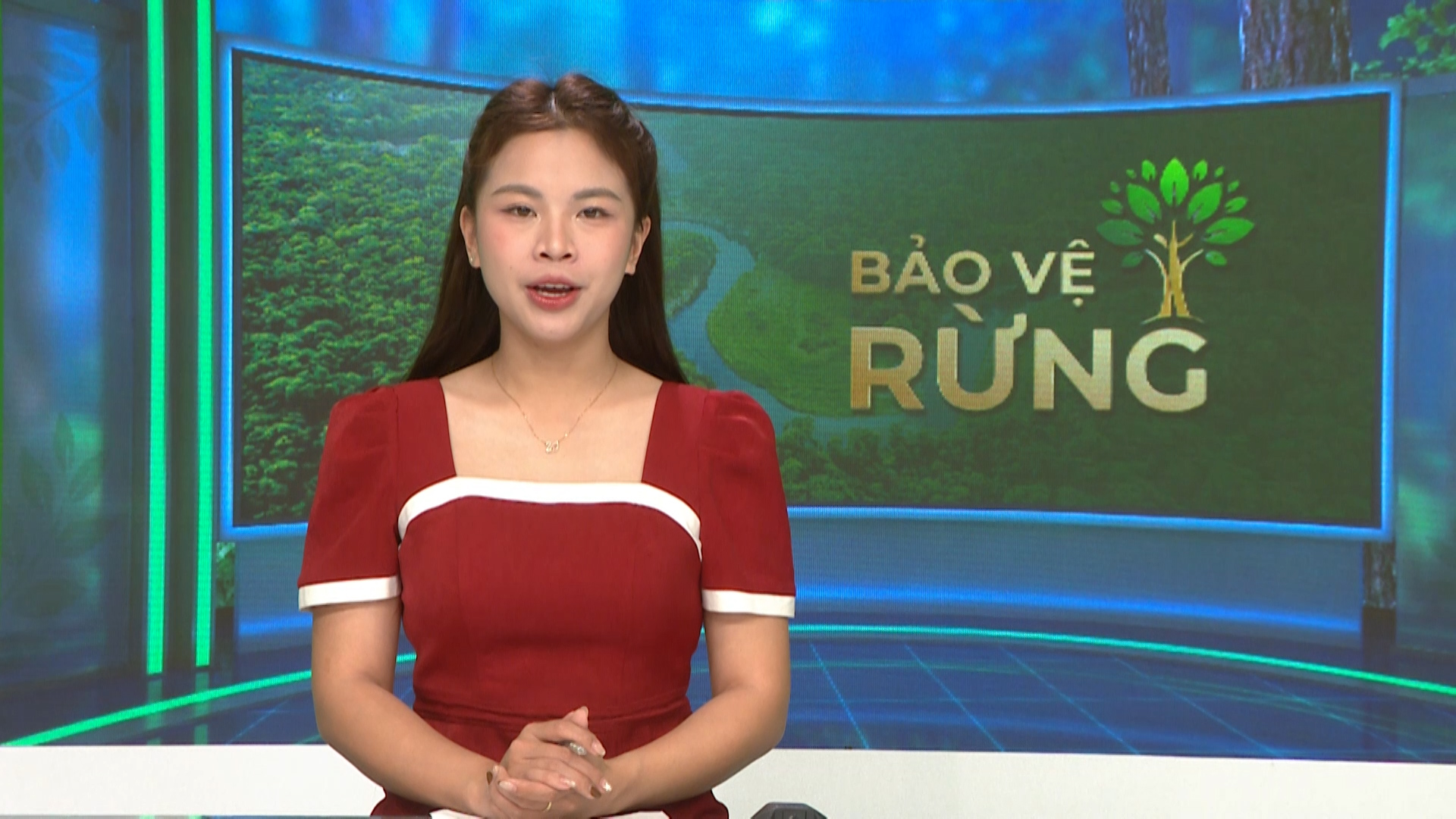 Bảo vệ rừng ngày 26/2/2026