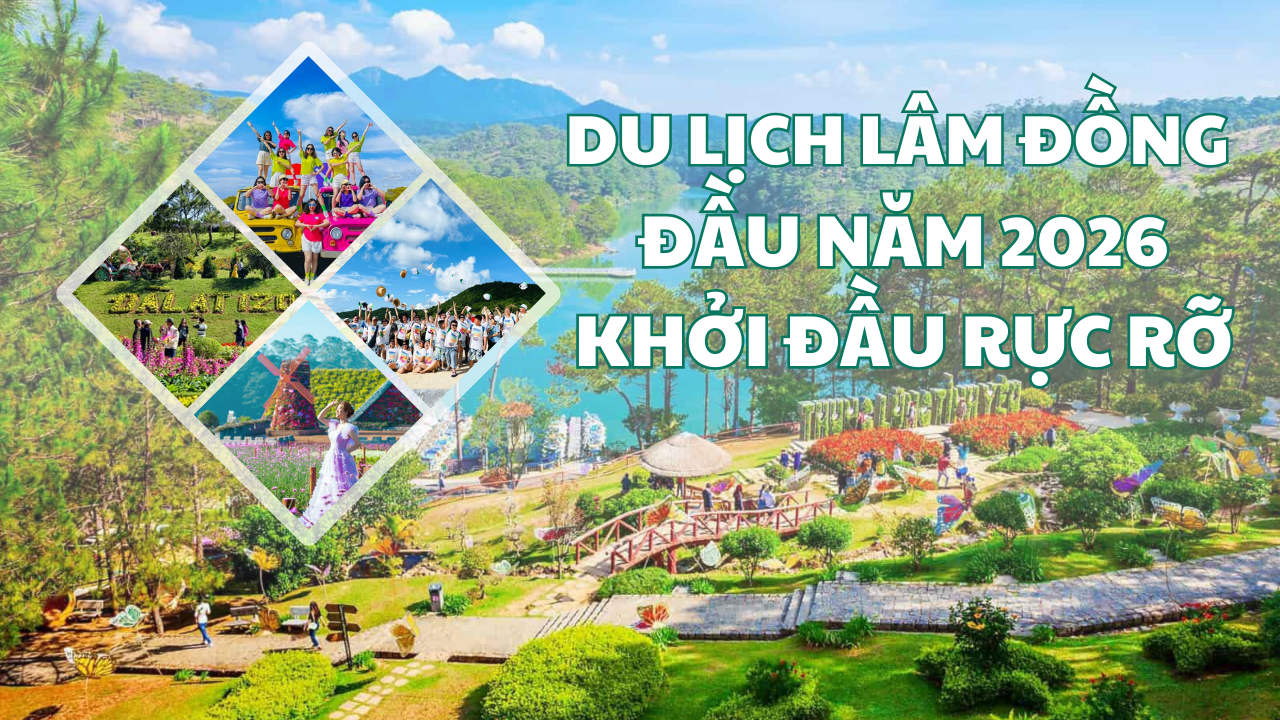 Du lịch Lâm Đồng: Đầu năm 2026 khởi đầu rực rỡ