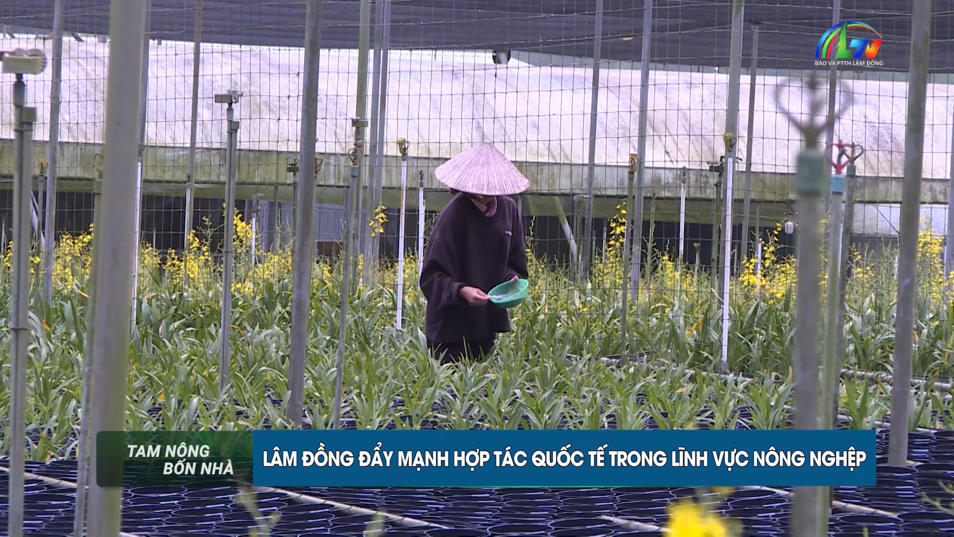 Tam nông 4 nhà ngày 02/9/2026
