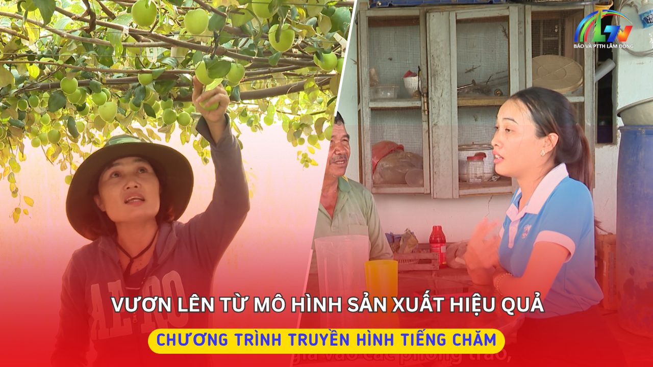 Vươn lên từ mô hình sản xuất hiệu quả