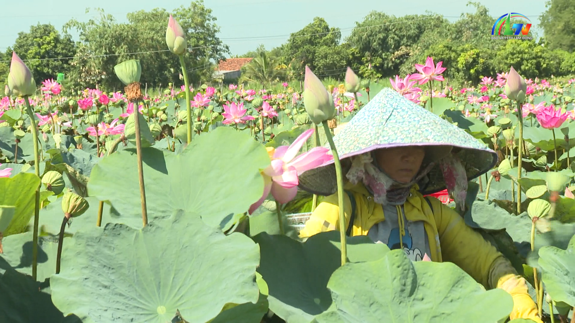 Dân tộc và phát triển ngày 02/7/2026