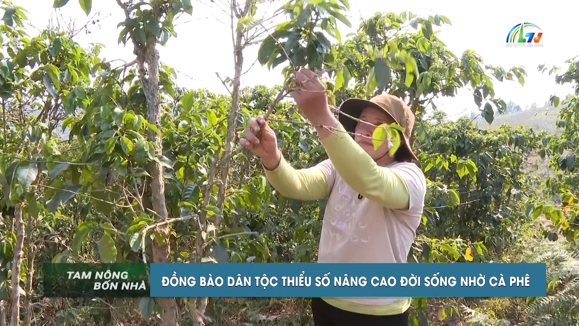 Tam nông bốn nhà ngày 05/08/2026