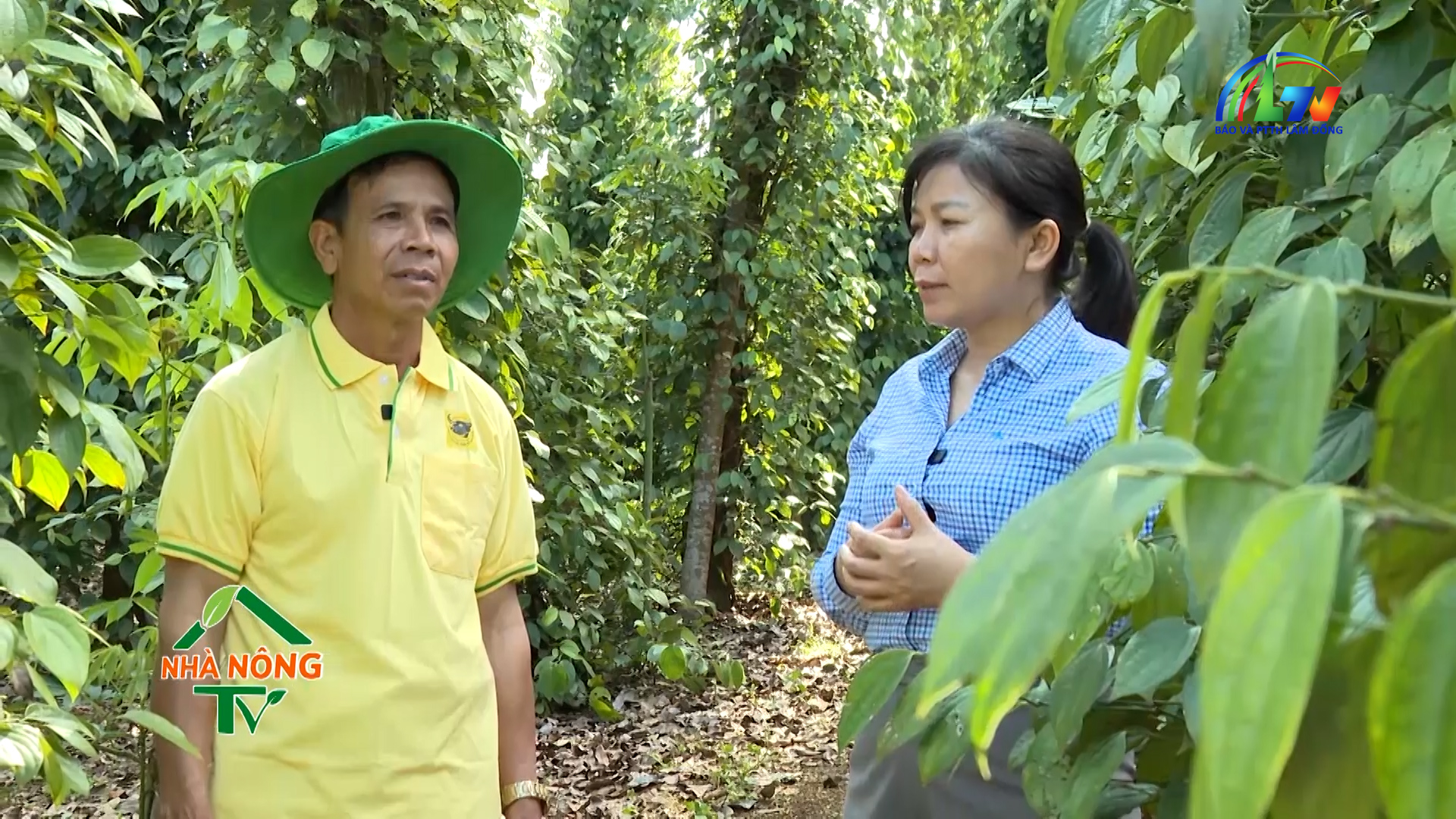 Canh tác thông minh ngày 24/3/2026