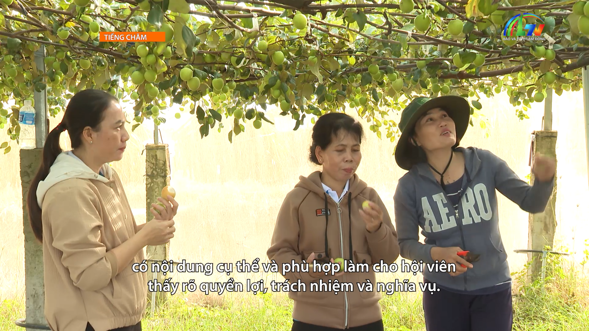 Tiếng Chăm ngày 7/8/2026