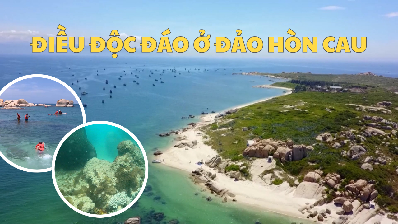 Điều độc đáo ở đảo Hòn Cau | Biển đảo quê hương ngày 7/2/2026