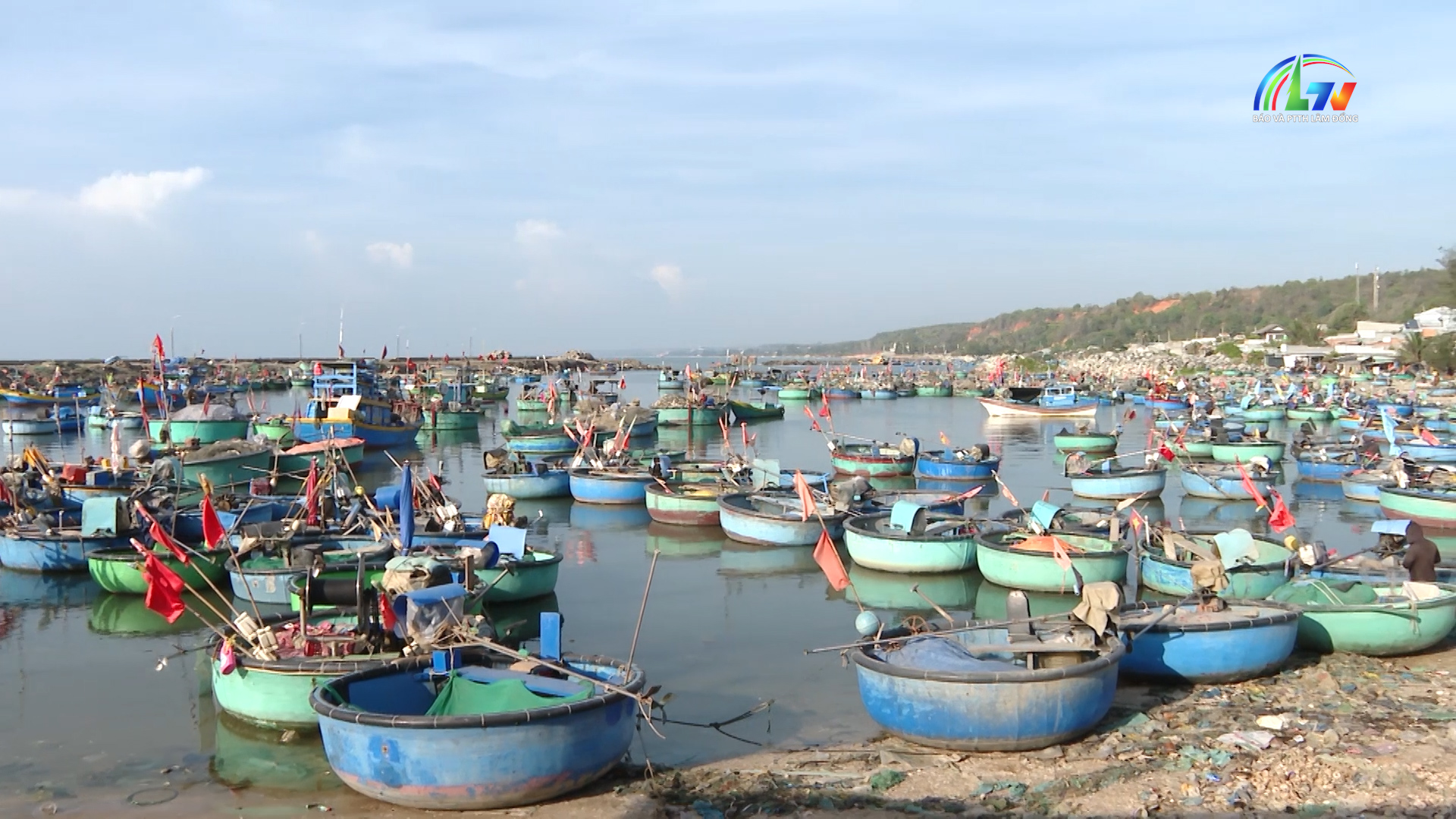 Kinh tế biển ngày 7/5/2026