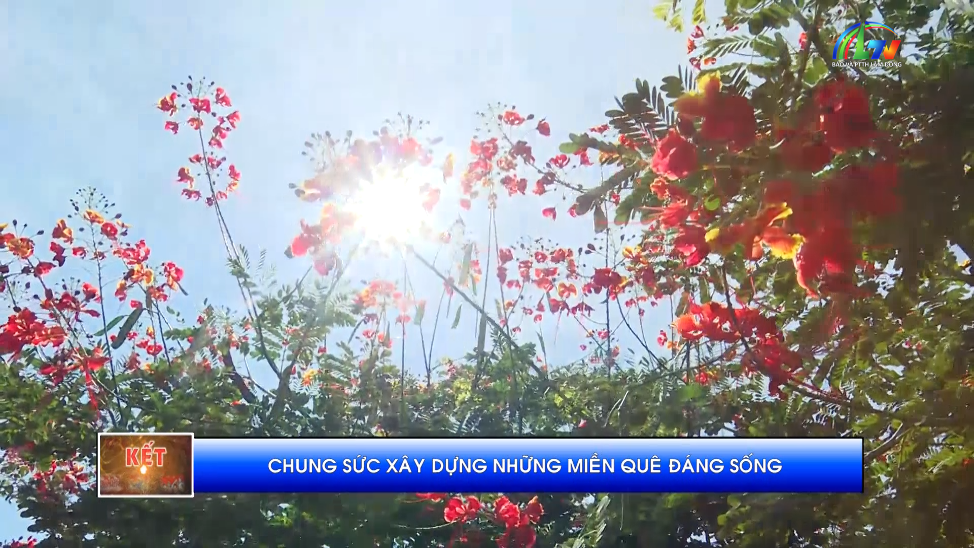 Đại đoàn kết ngày 06/7/2026