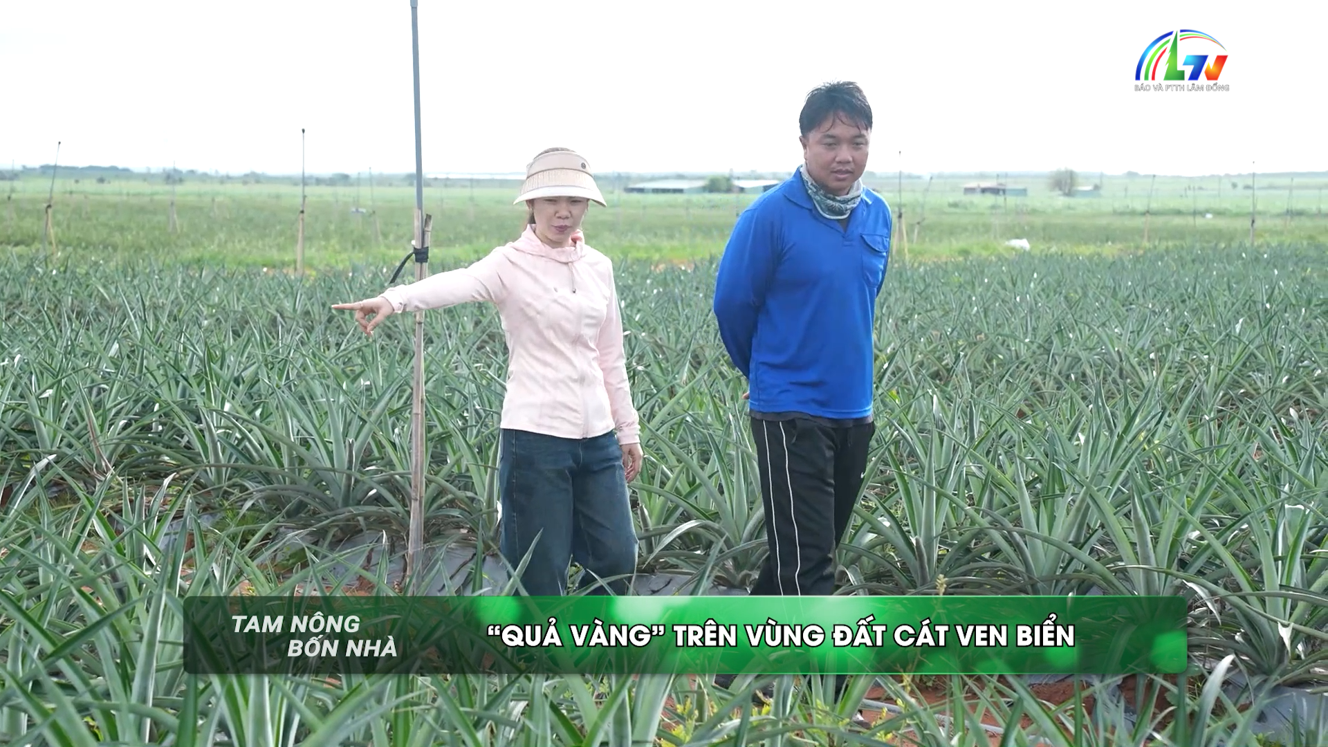 Tài nguyên và môi trường ngày 8/7/2026
