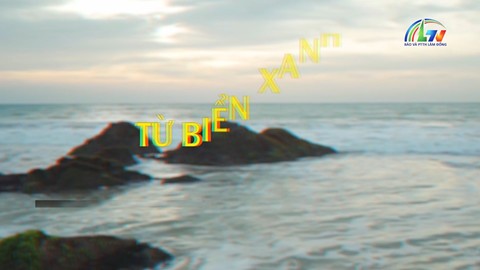 Từ biển xanh đến đại ngàn ngày 8/10/2026