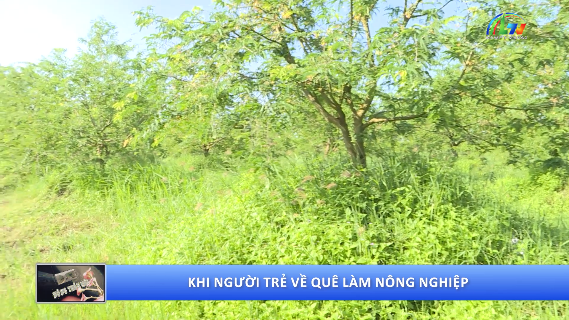 Nông thôn mới ngày 8.8.2026