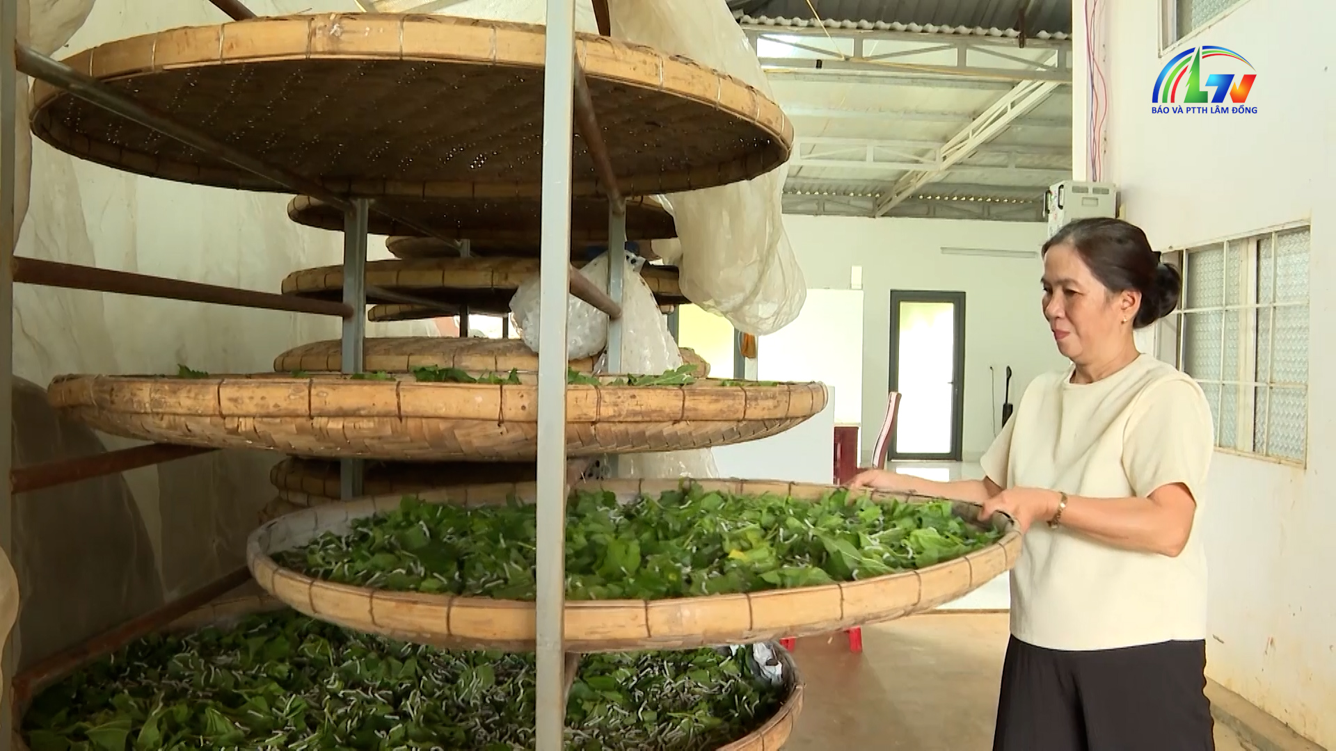 Giảm nghèo bền vững ngày 9/3/2026