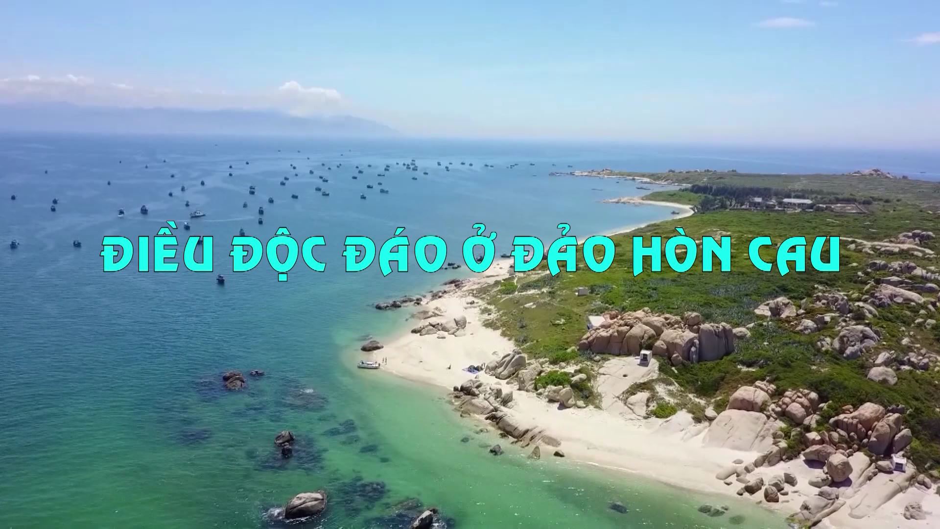 Biển đảo quê hương ngày 11/2/2026