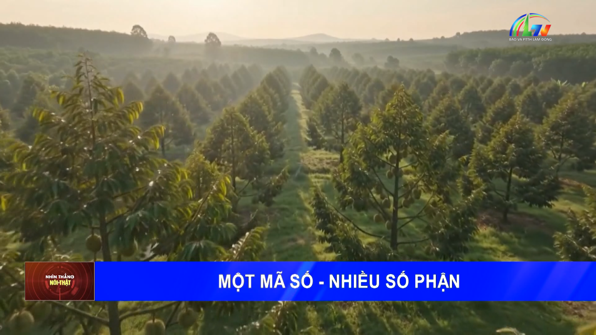 Nhìn thẳng nói thật ngày 12-08-2026