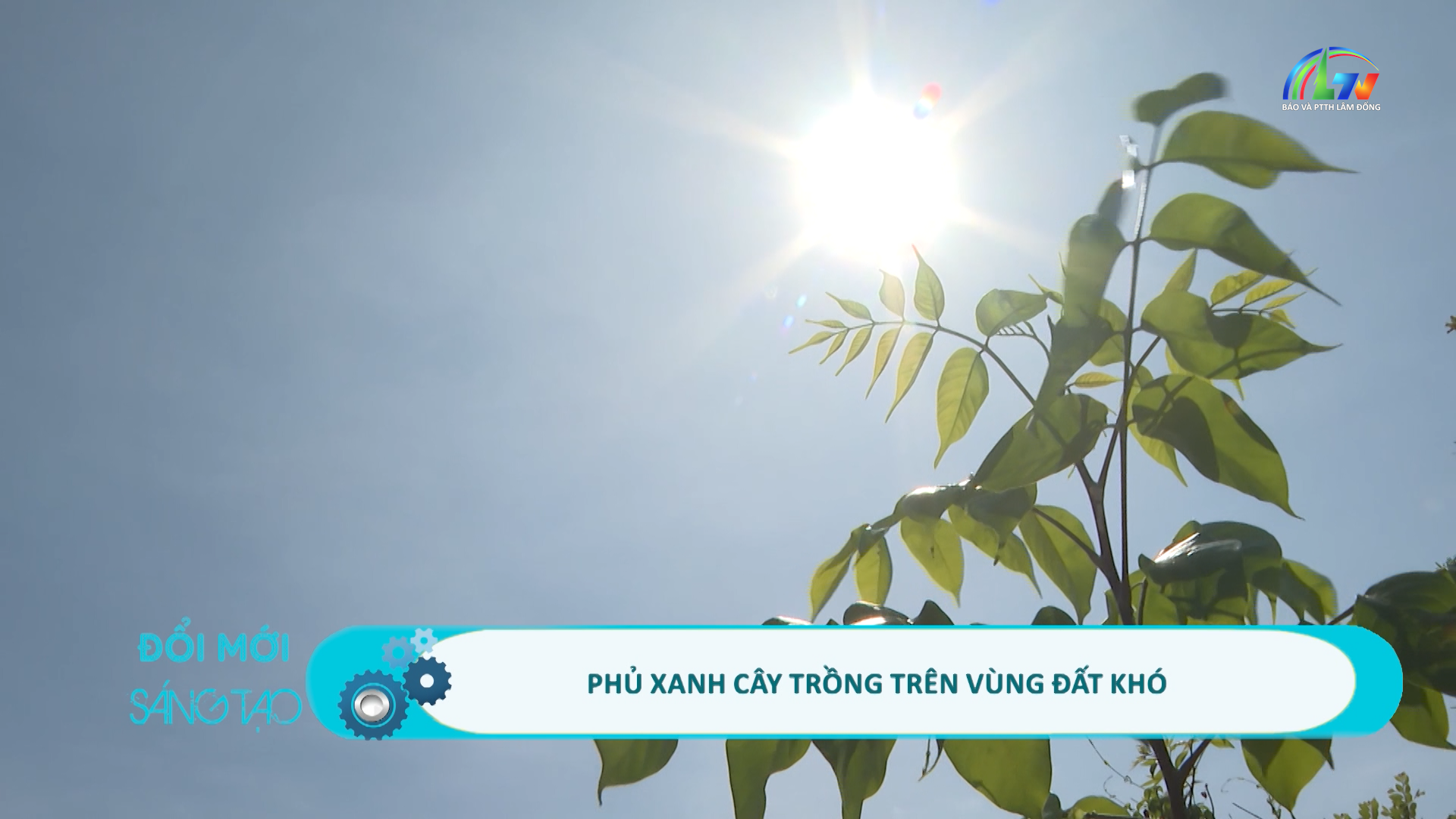 Đổi mới sáng tạo ngày 13/5/2026