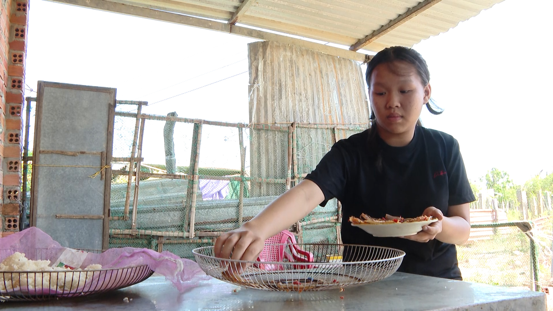 Tiếp bước đến trường ngày 13/5/2026
