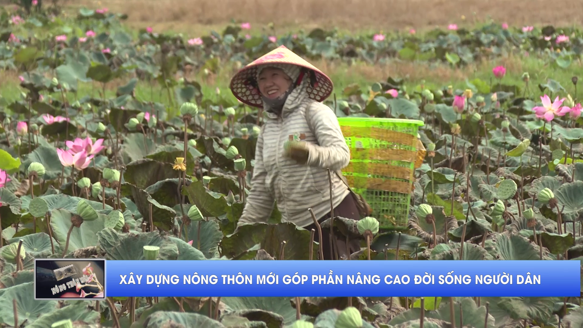 Nông thôn mới ngày 10/10/2026