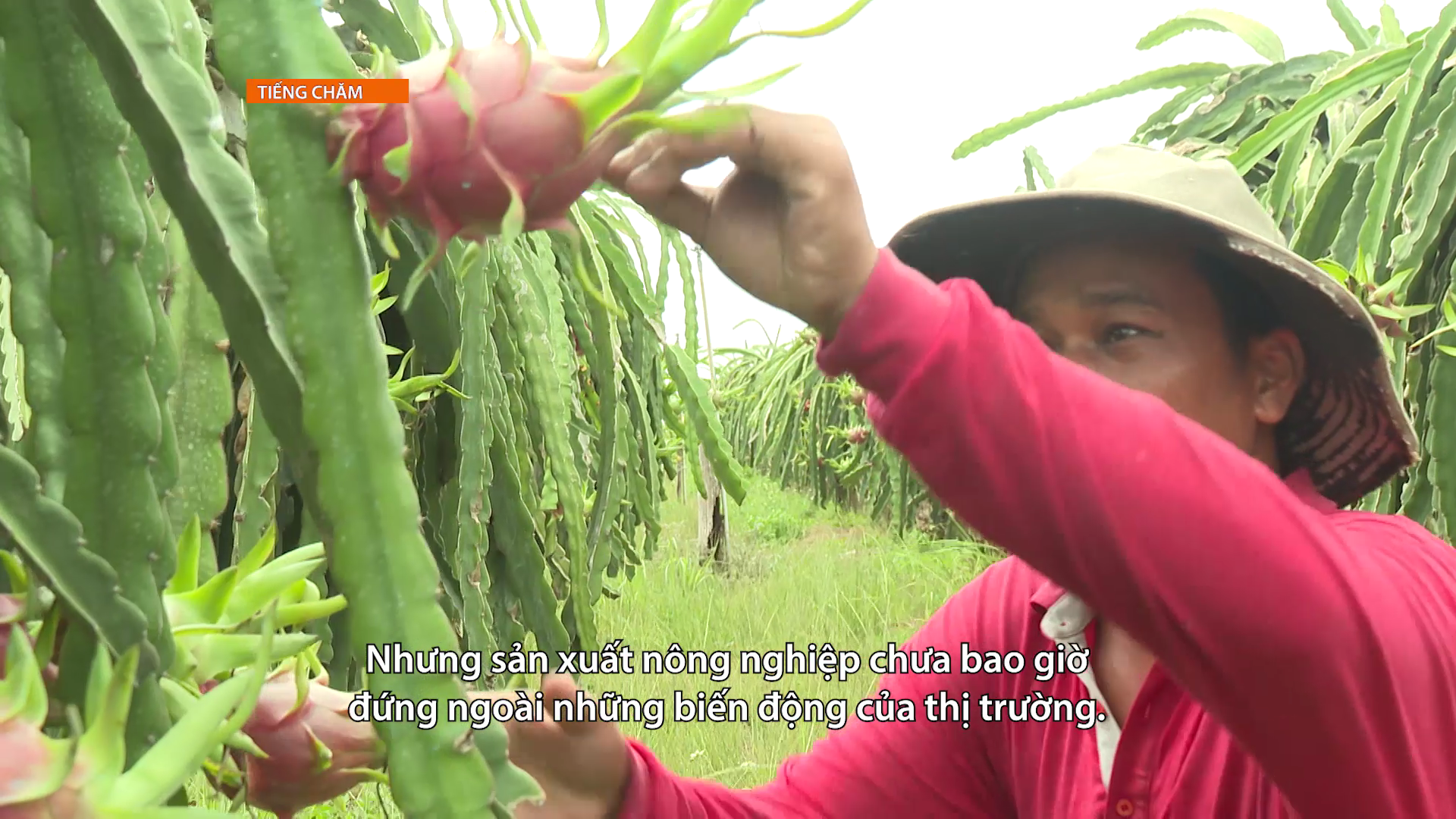 Tiếng Chăm ngày 02/10/2026