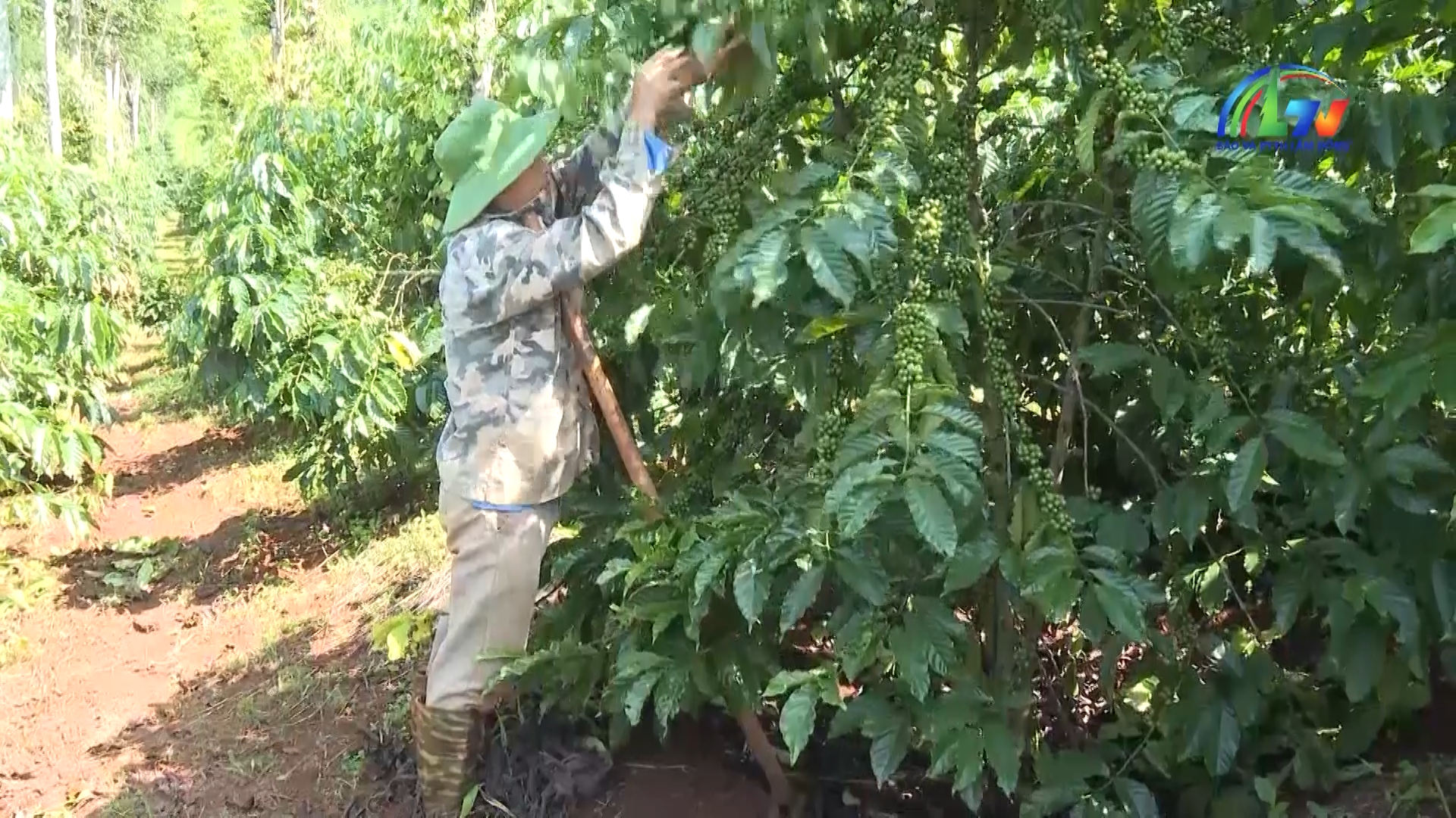 Thời sự tiếng Mnông ngày 14/4/2026