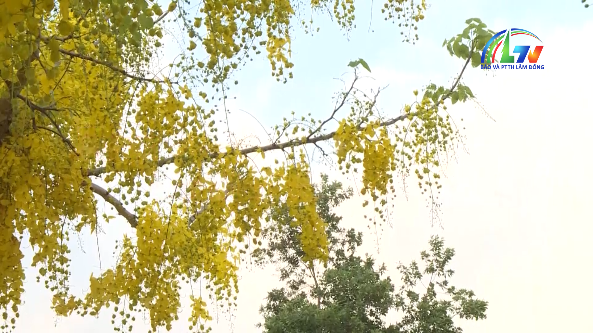 Chào ngày mới ngày 15/4/2026