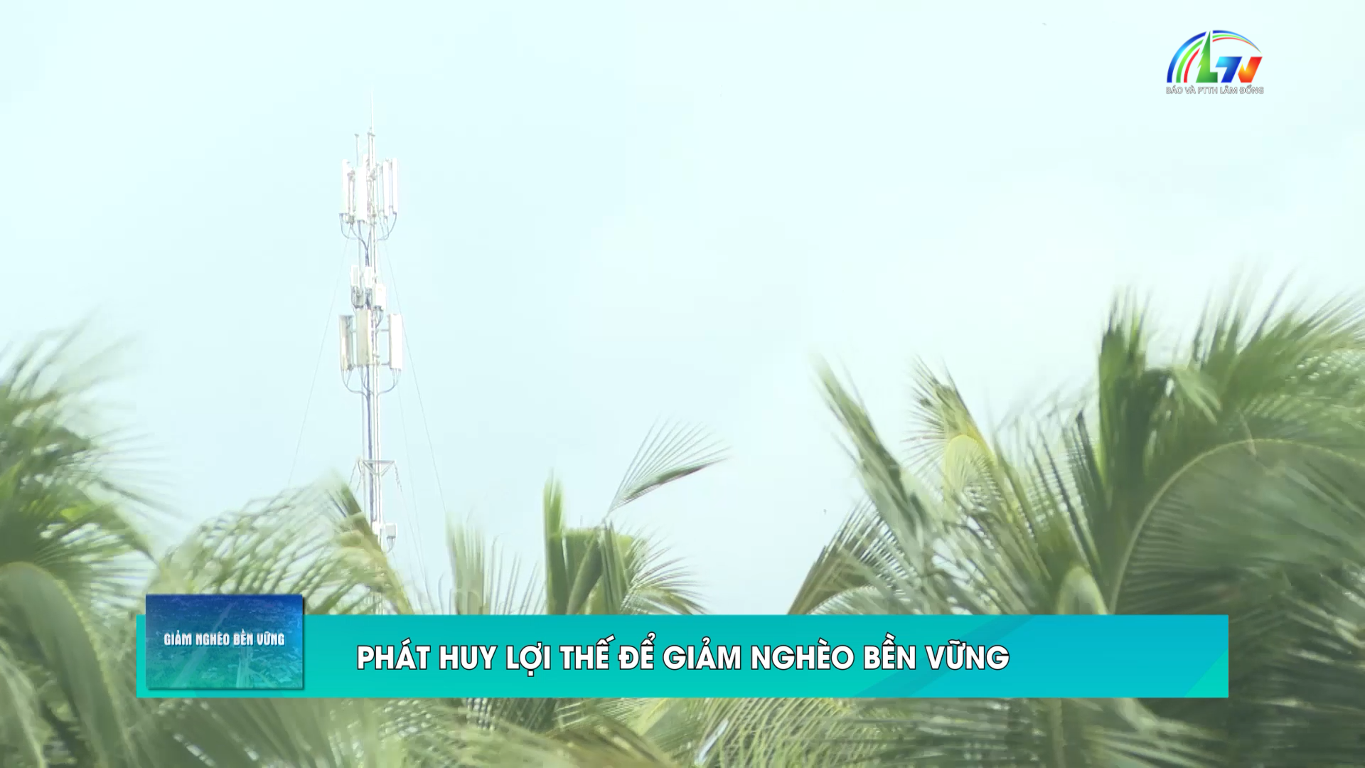 Giảm nghèo bền vững ngày 14/09/2026