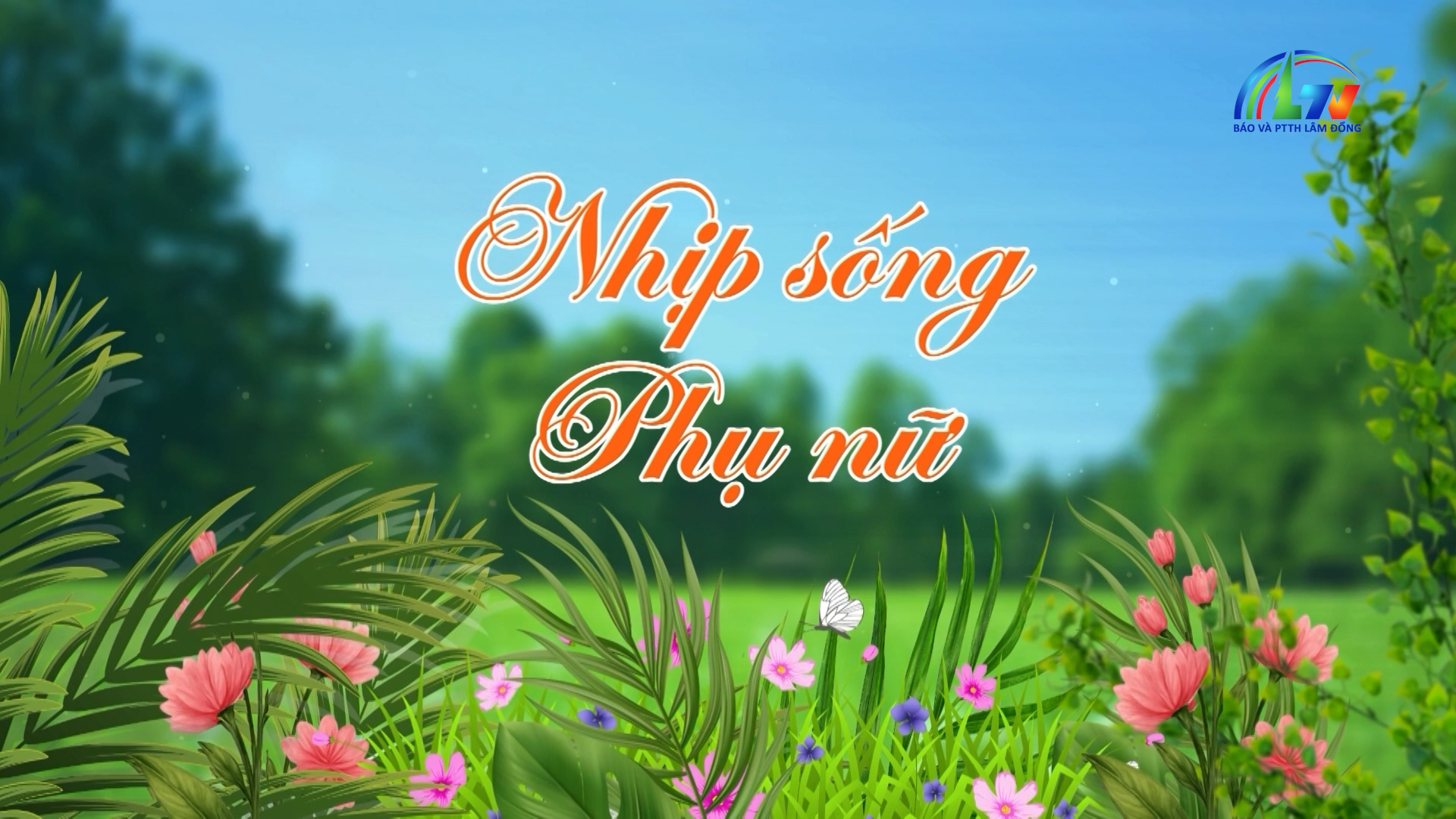 Phụ nữ và cuộc sống ngày 15/1/2026