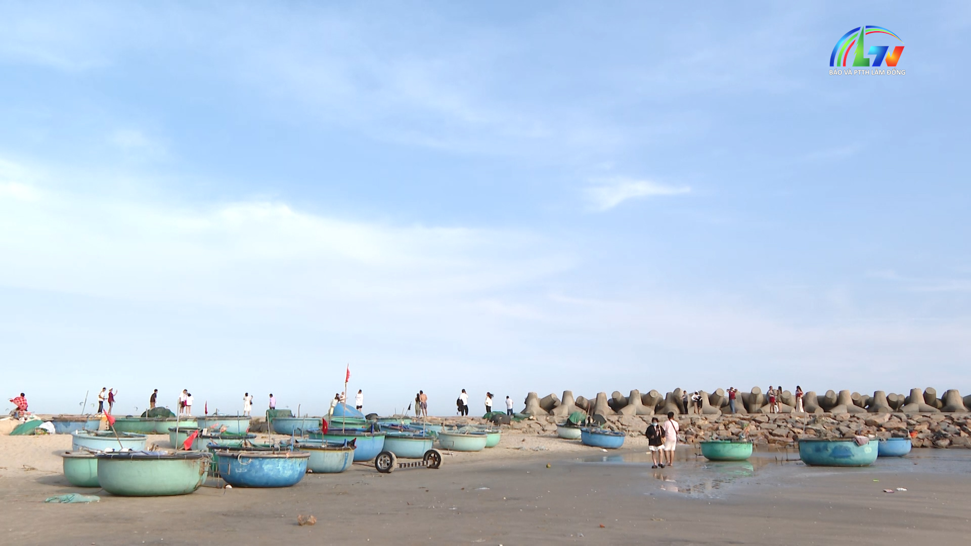 Từ biển xanh tới đại ngàn ngày 12/3/2026