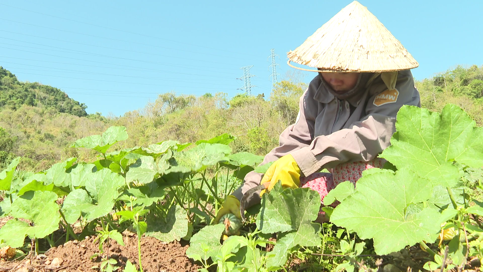 Dân tộc và phát triển ngày 17/3/2026