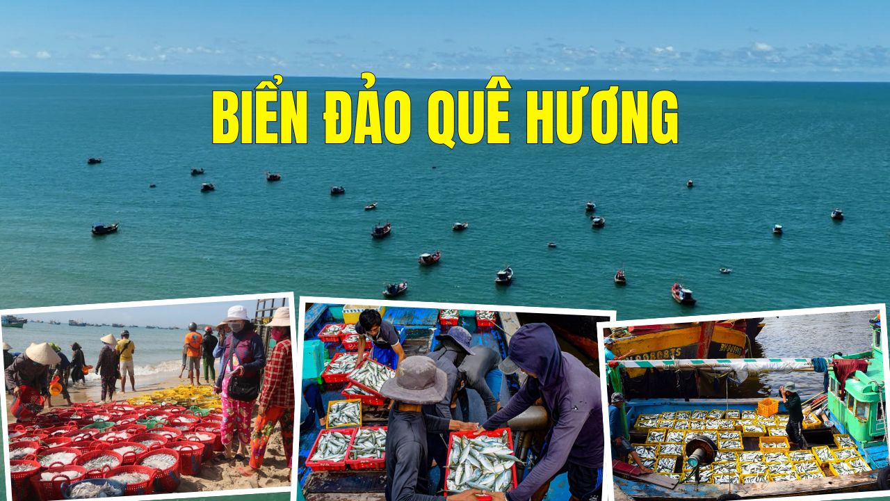 Biển đảo quê hương | Ngày 11.1.2026