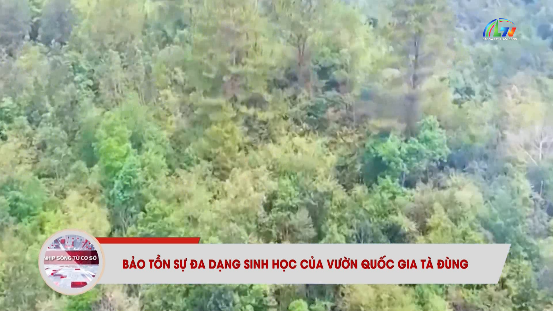 Nhịp sống từ cơ sở ngày 19/5/2026