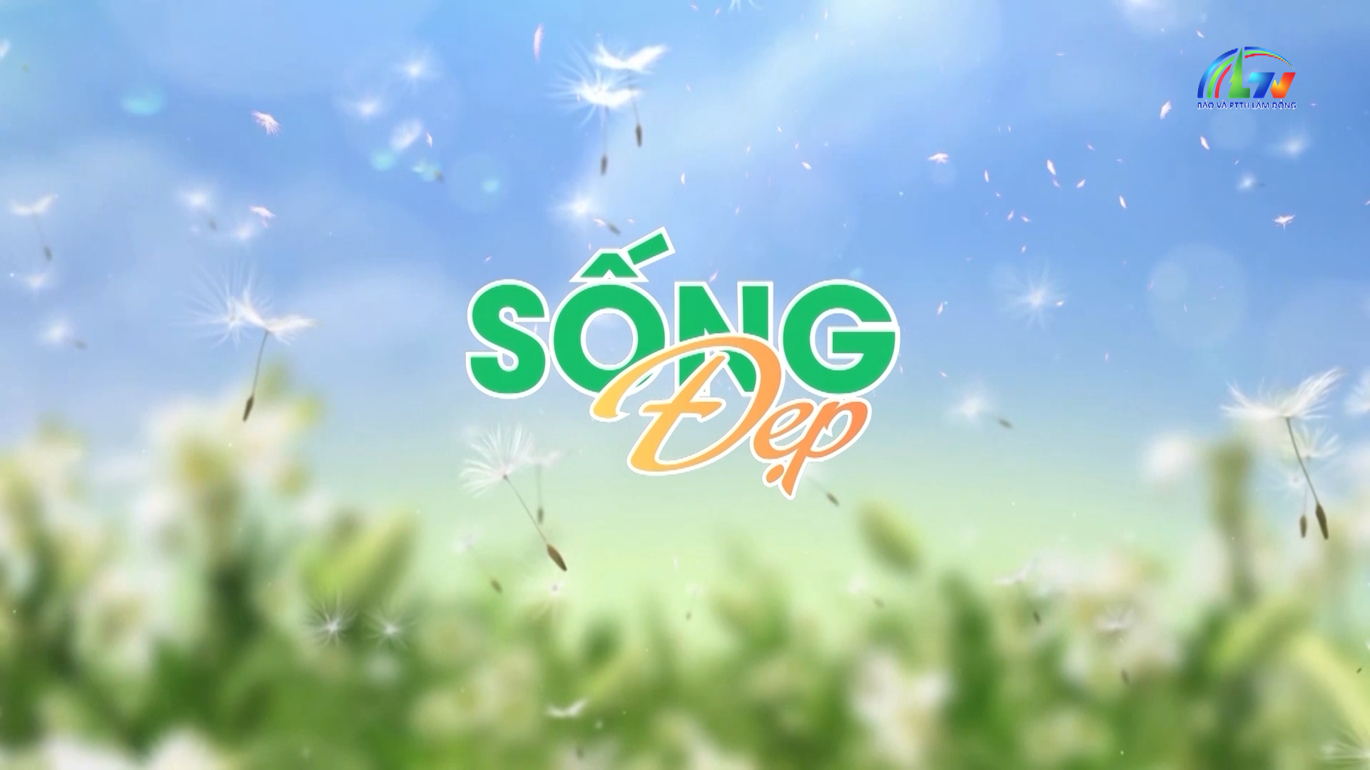 Sống đẹp ngày 20/3/2026