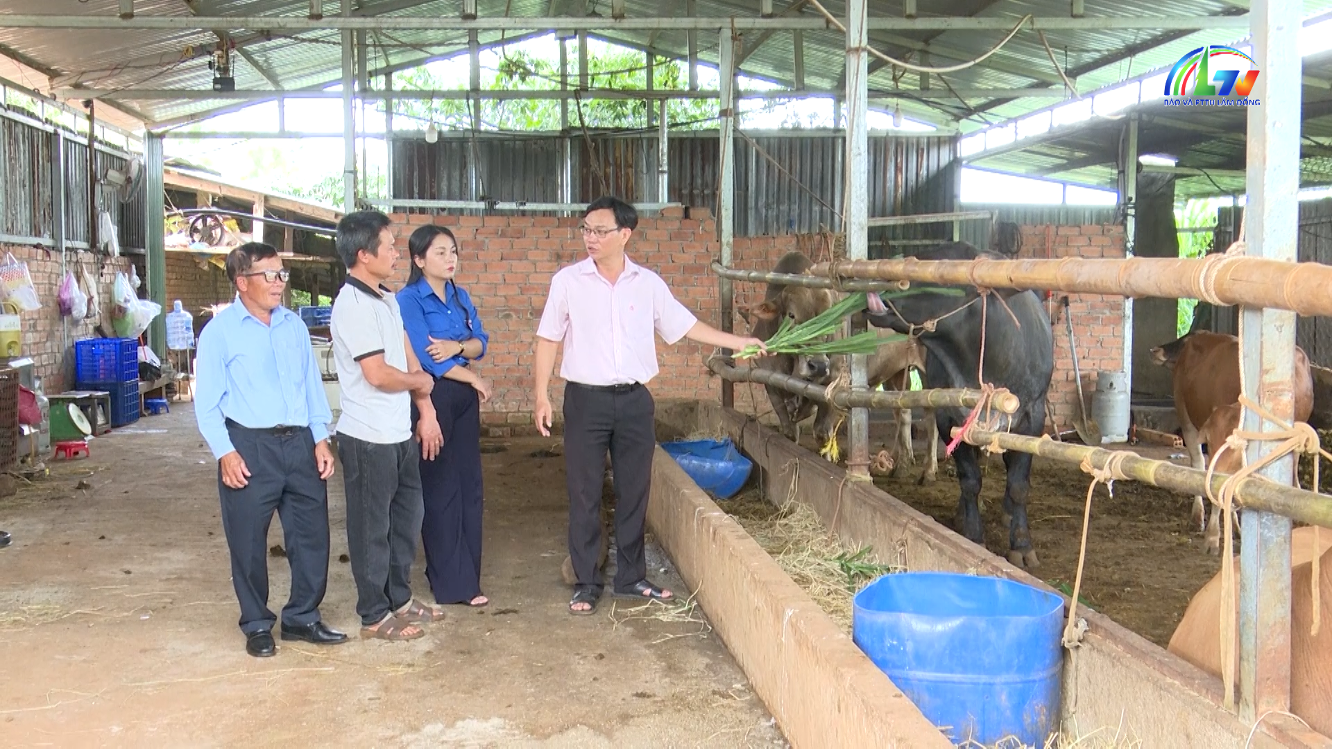 Tài chính ngân hàng ngày 20/5/2026