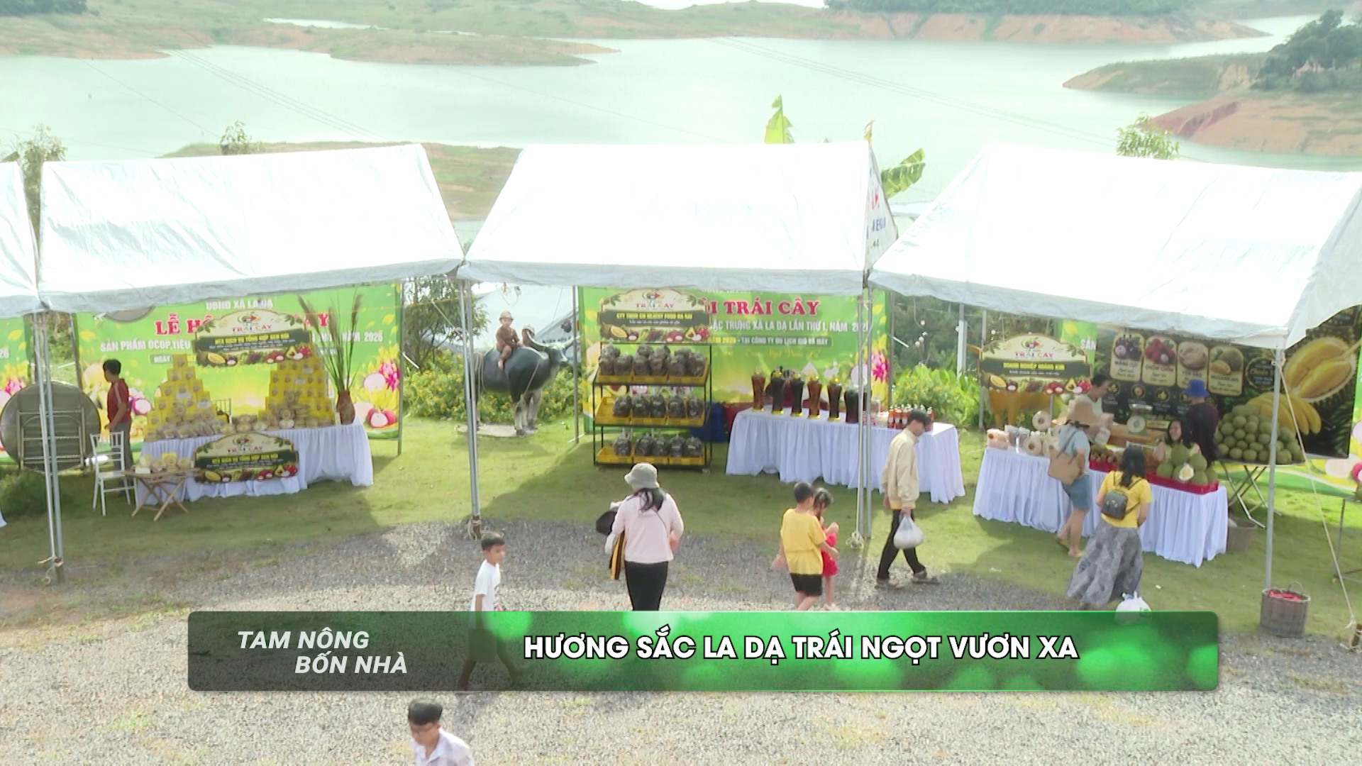 Tam nông 4 nhà ngày 12.08.2026
