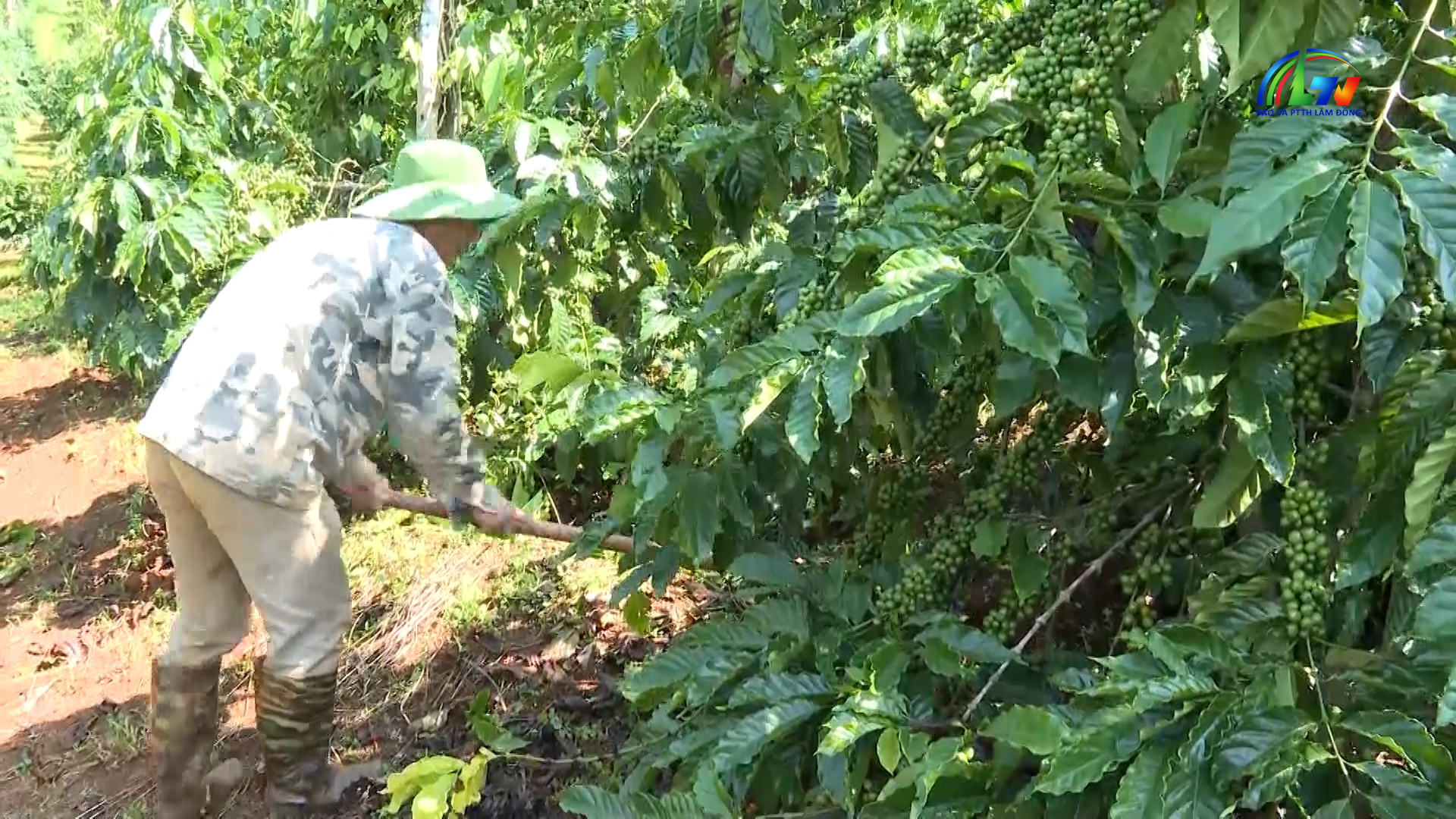 Chương trình M'nông ngày 19/1/2026