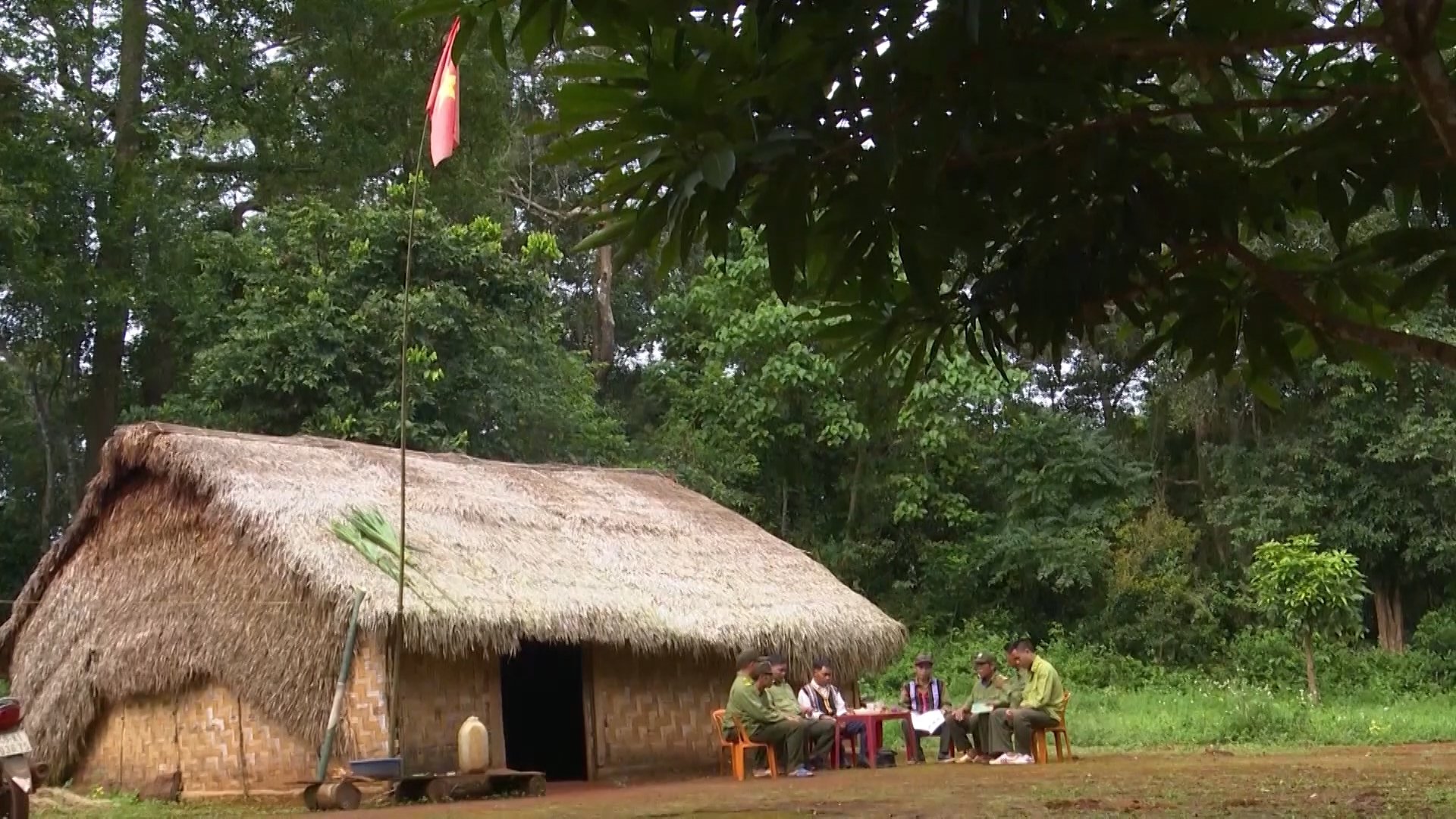 Bảo vệ rừng ngày 22/1/2026