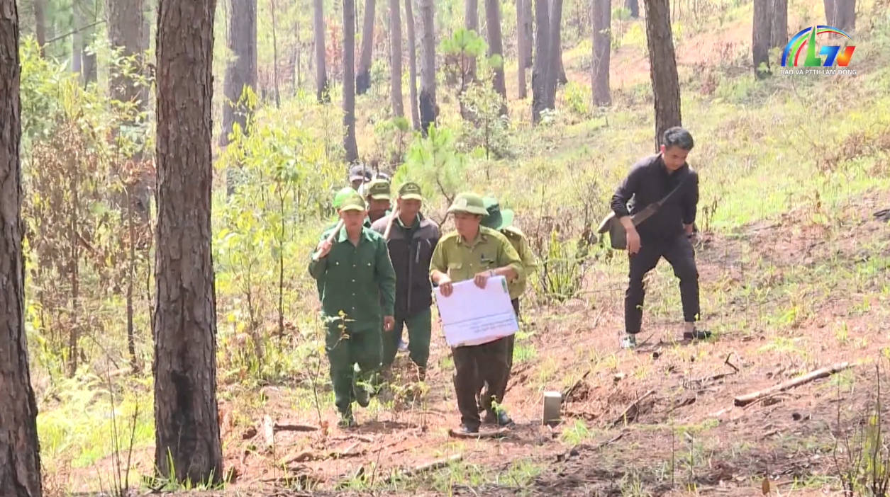 Bảo vệ rừng ngày 20/3/2026