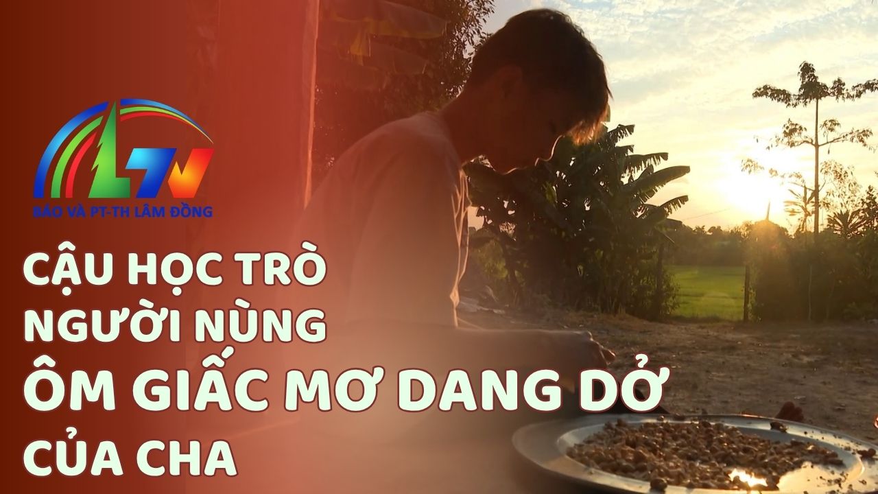 Hoa cúc trắng 20/03/2026