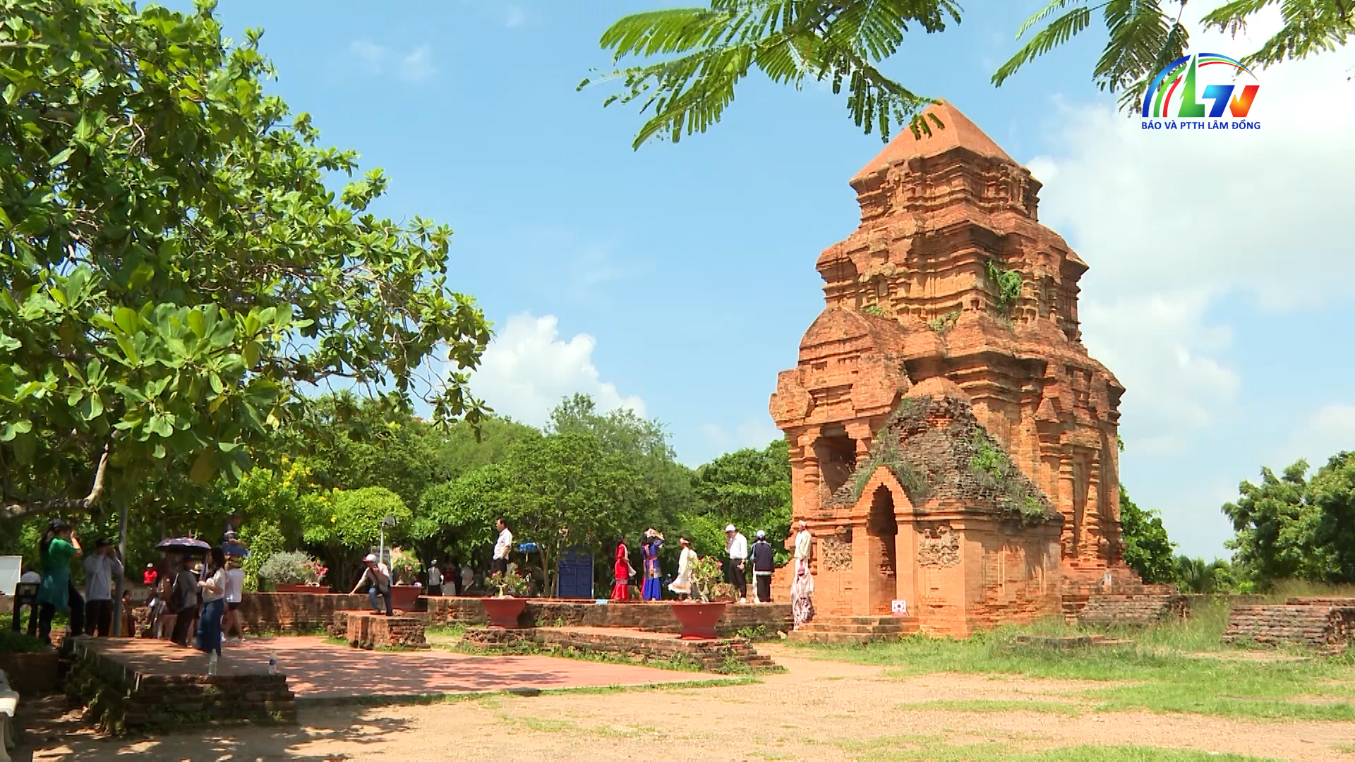 Chào ngày mới ngày 22/7/2026
