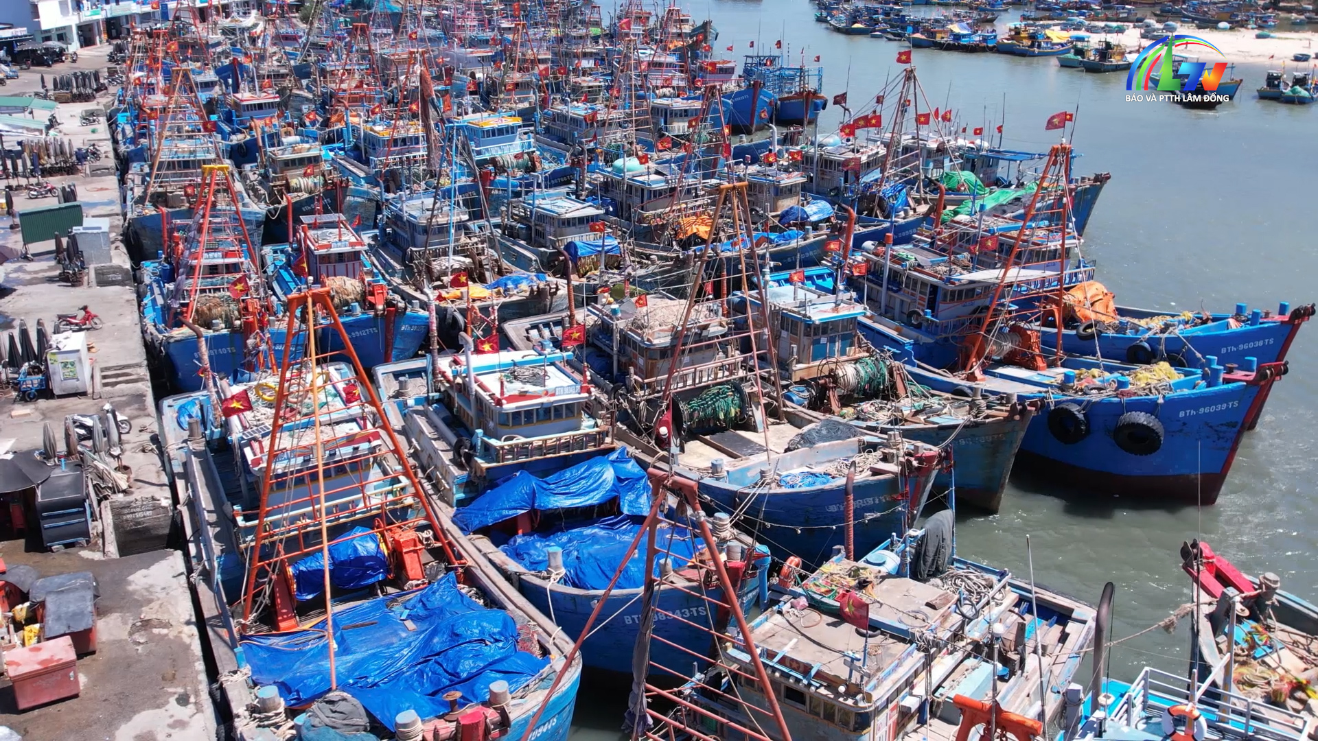 Kinh tế biển ngày 23/3/2026