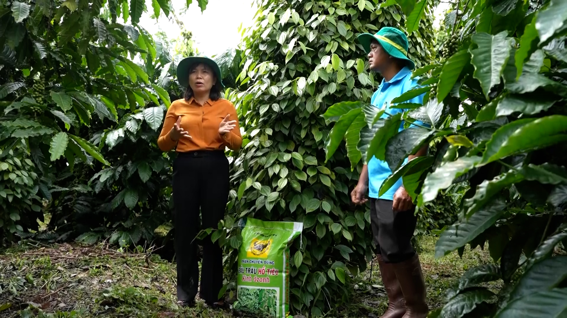 Canh tác thông minh ngày 27/01/2026