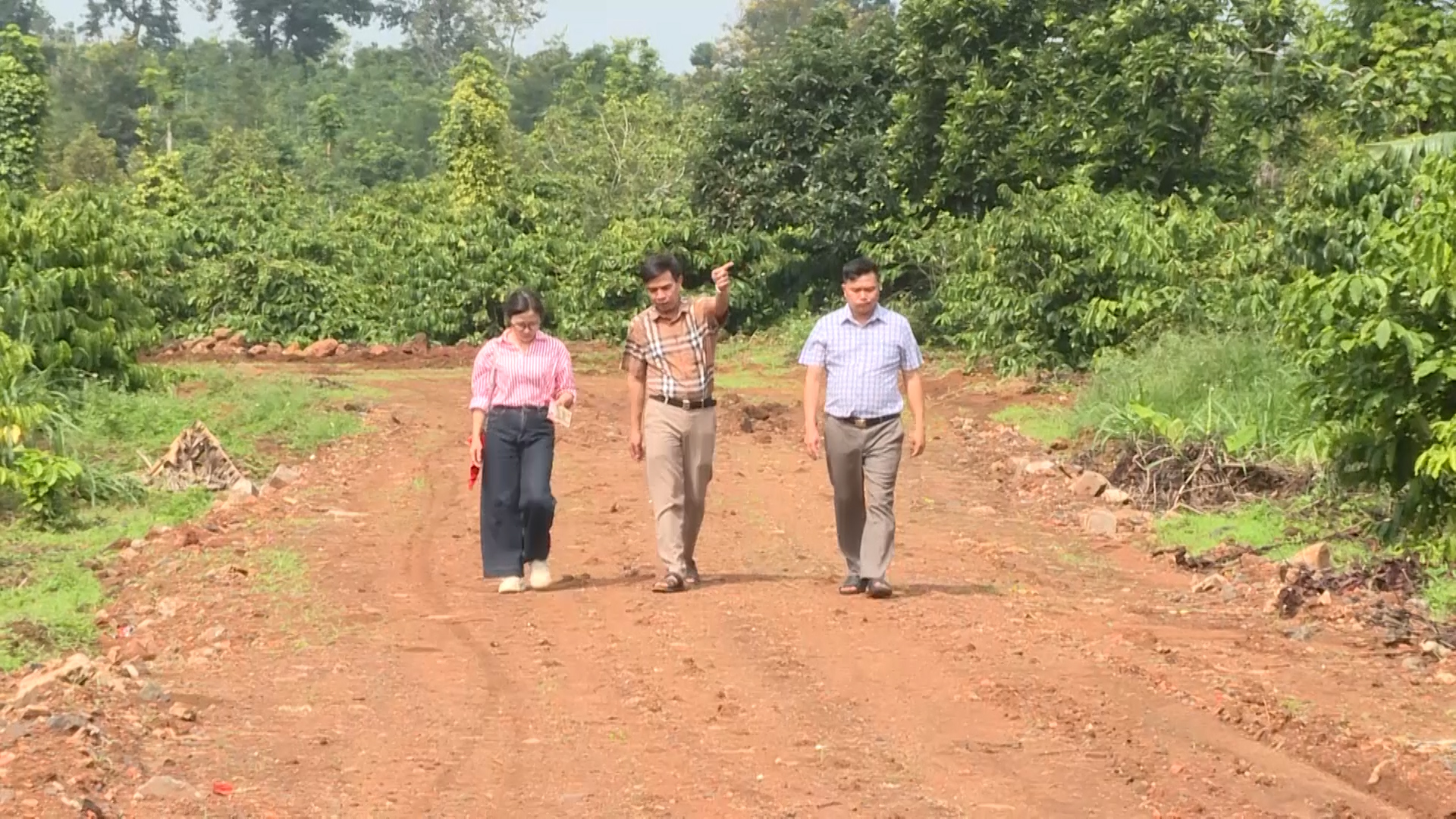 Nông thôn mới ngày 26/9/2026